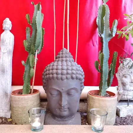 A L'ombre Des Arenes Garage Compris Homestay Nimes